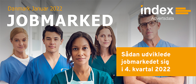 Header Dänemark Jobmarkt NL Januar 2023